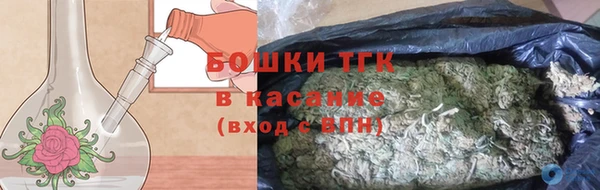 дмт Осташков