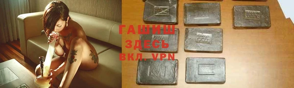 дмт Осташков
