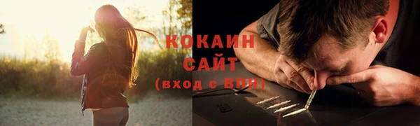 таблы Няндома