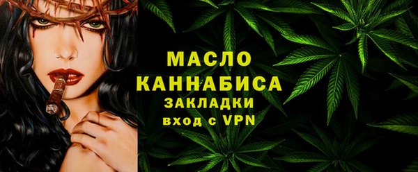 дмт Осташков