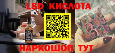 шишки Аргун