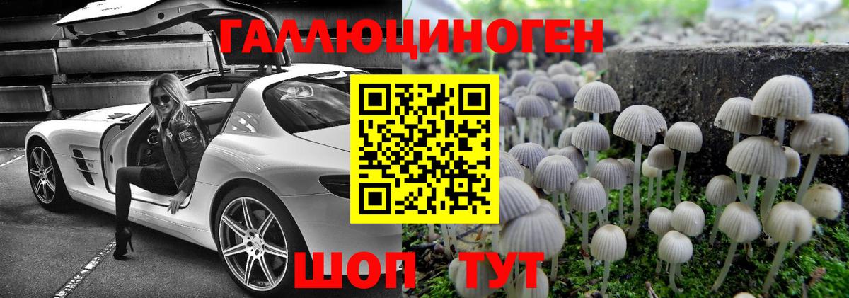 Рославль  Галлюциногенные грибы Psilocybine cubensis  Галлюциногенные грибы Magic Shrooms  Вход с VPN 