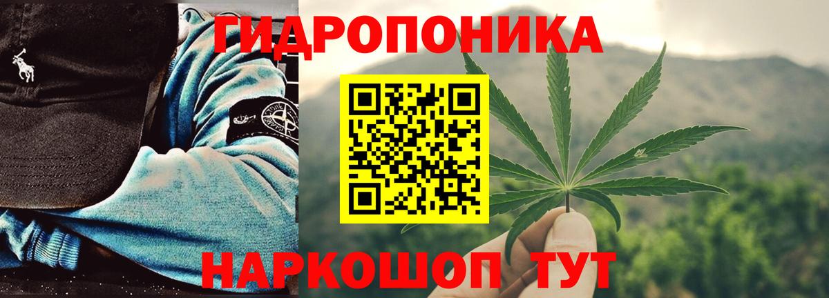 Каннабис SATIVA & INDICA  Бошки Шишки сатива  Вход с VPN  Рославль 